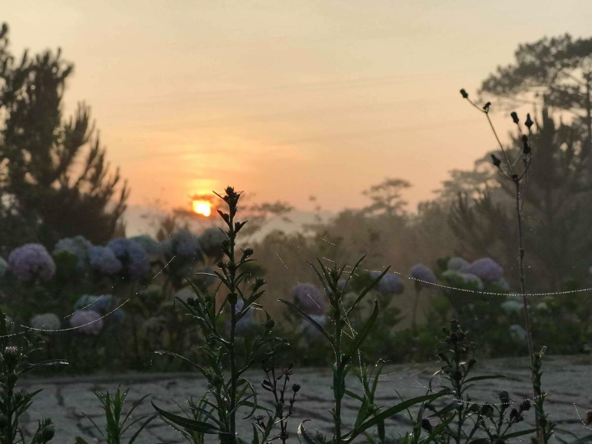 דה לאט Kim Ngan Hills Eco-Resort חדר תמונה